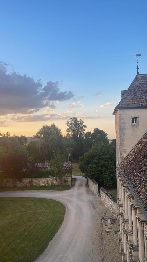 Chateau De La Berchere Нюи-Сен-Жорж Екстериор снимка
